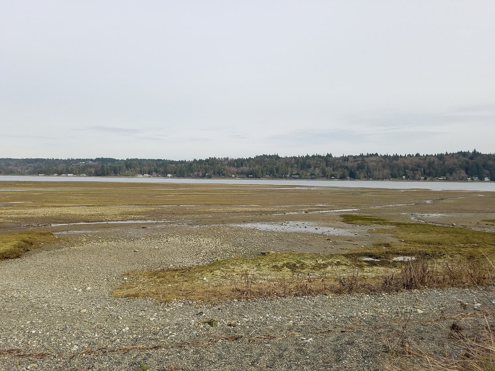Pebble beach and tide flats at low tide on Hood Canal at Belfair State Park