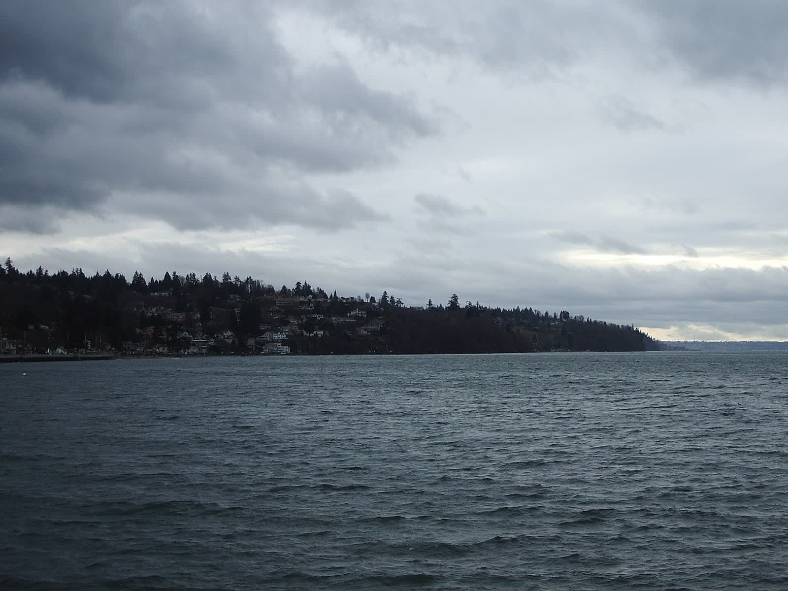 Puget Sound shoreline in Federal Way seen from the Redondo fishing pier, with homes along the wooded bluff