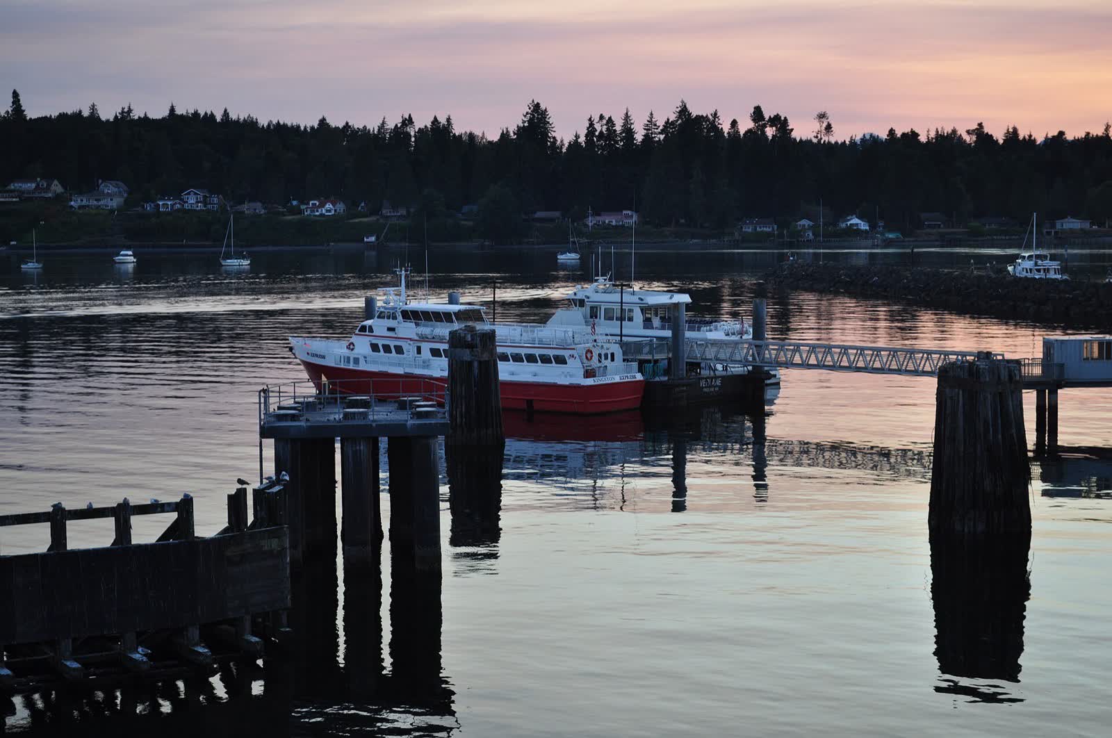 Boats docked at the Port of Kingston marina on Appletree Cove, with the town's waterfront homes and shoreline behind
