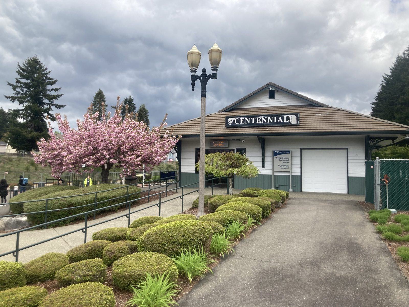 Centennial Station in Lacey, with its entrance, flowering tree, and paths beside the Amtrak platform