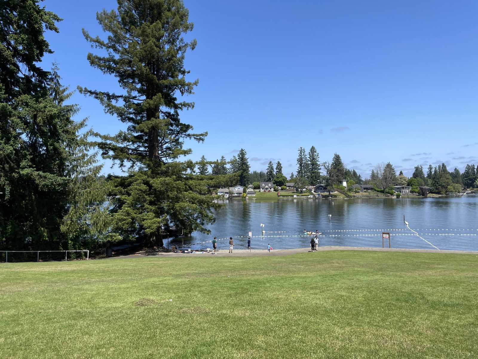 Long Lake in Lacey, evergreens and shoreline homes ringing the water with swimmers at Long Lake Park