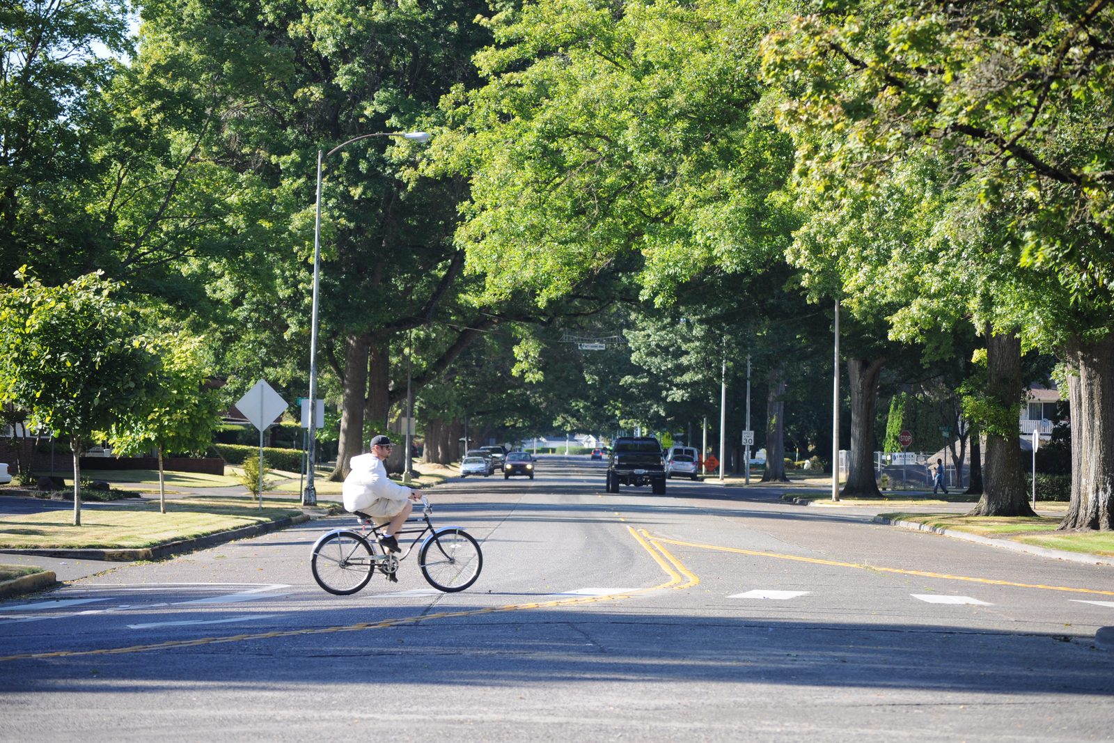 A cyclist riding a tree-lined street on Longview's Old West Side, craftsman homes along the boulevard