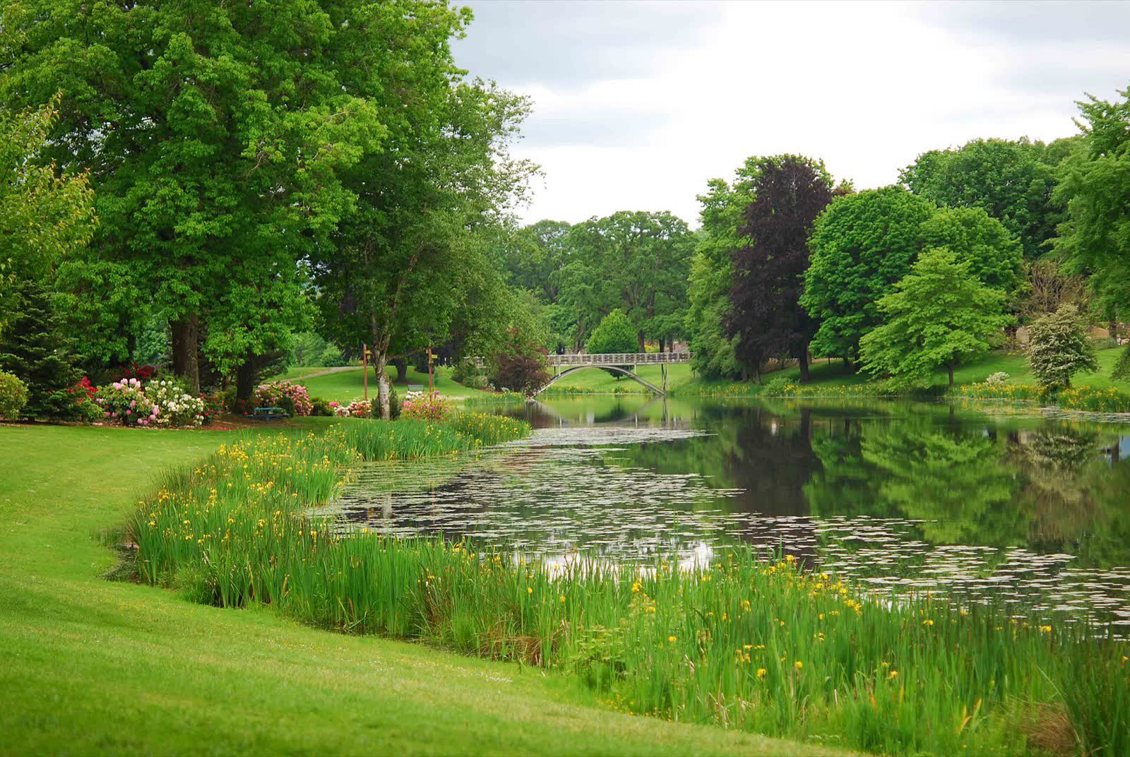 Lake Sacajawea and its tree-lined shoreline in Longview, Washington