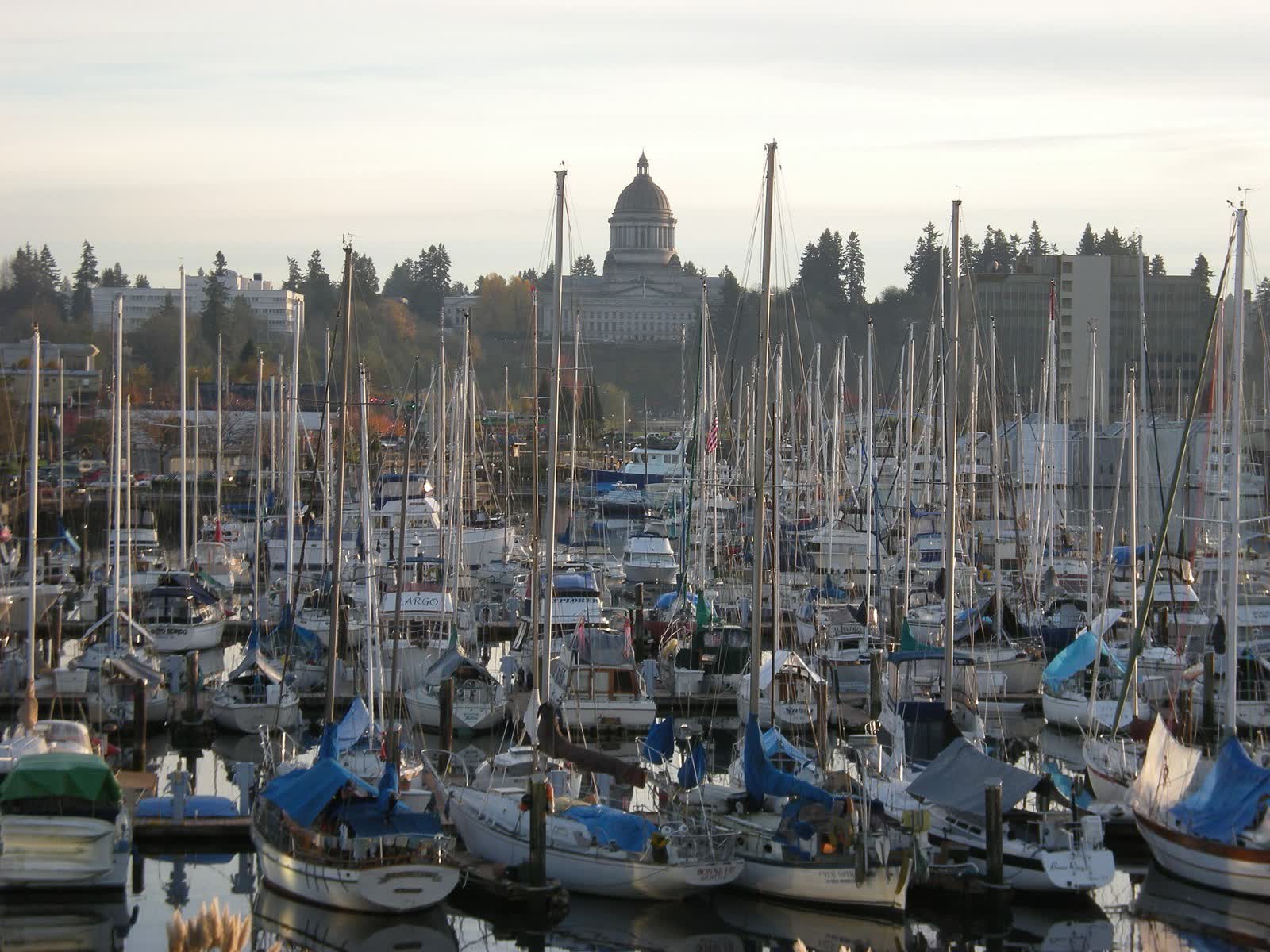 Sailboats moored at the downtown Olympia marina on Budd Inlet, with the Washington State Capitol dome on the hill behind