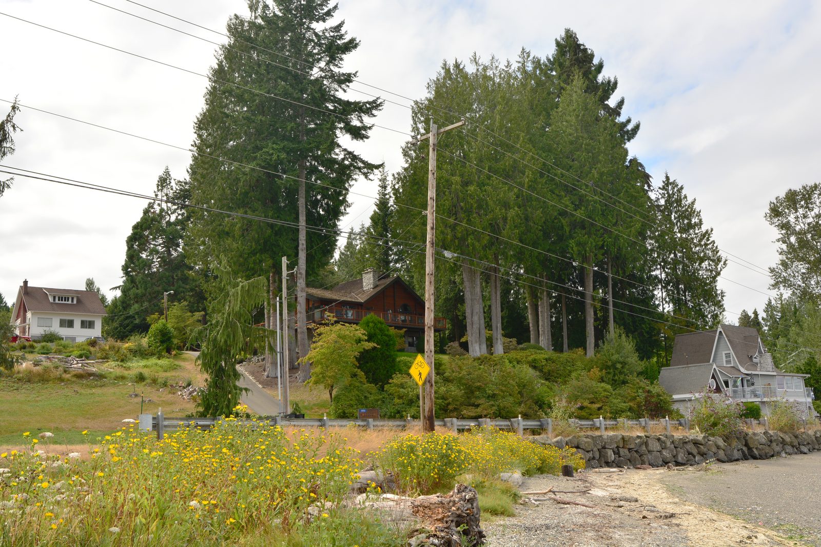 Waterfront houses among the firs above the beach at Harper Park, Port Orchard
