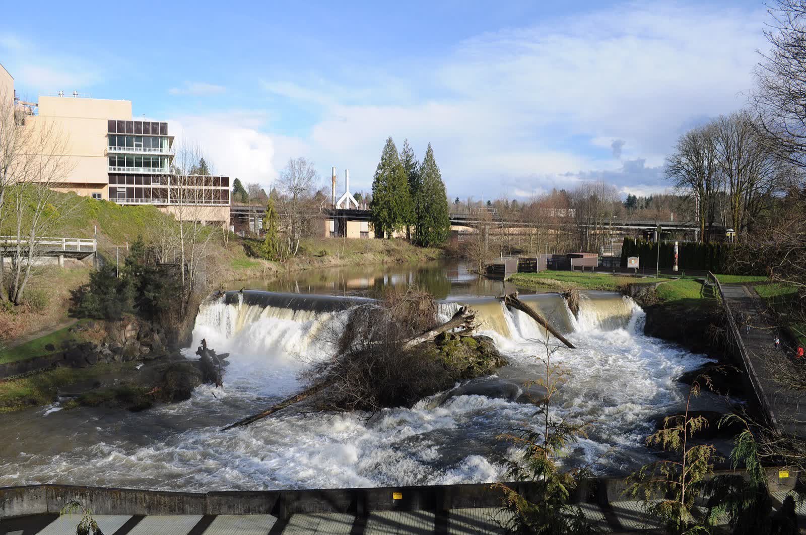 Upper Tumwater Falls on the Deschutes River at Brewery Park, with former Olympia Brewery buildings beyond