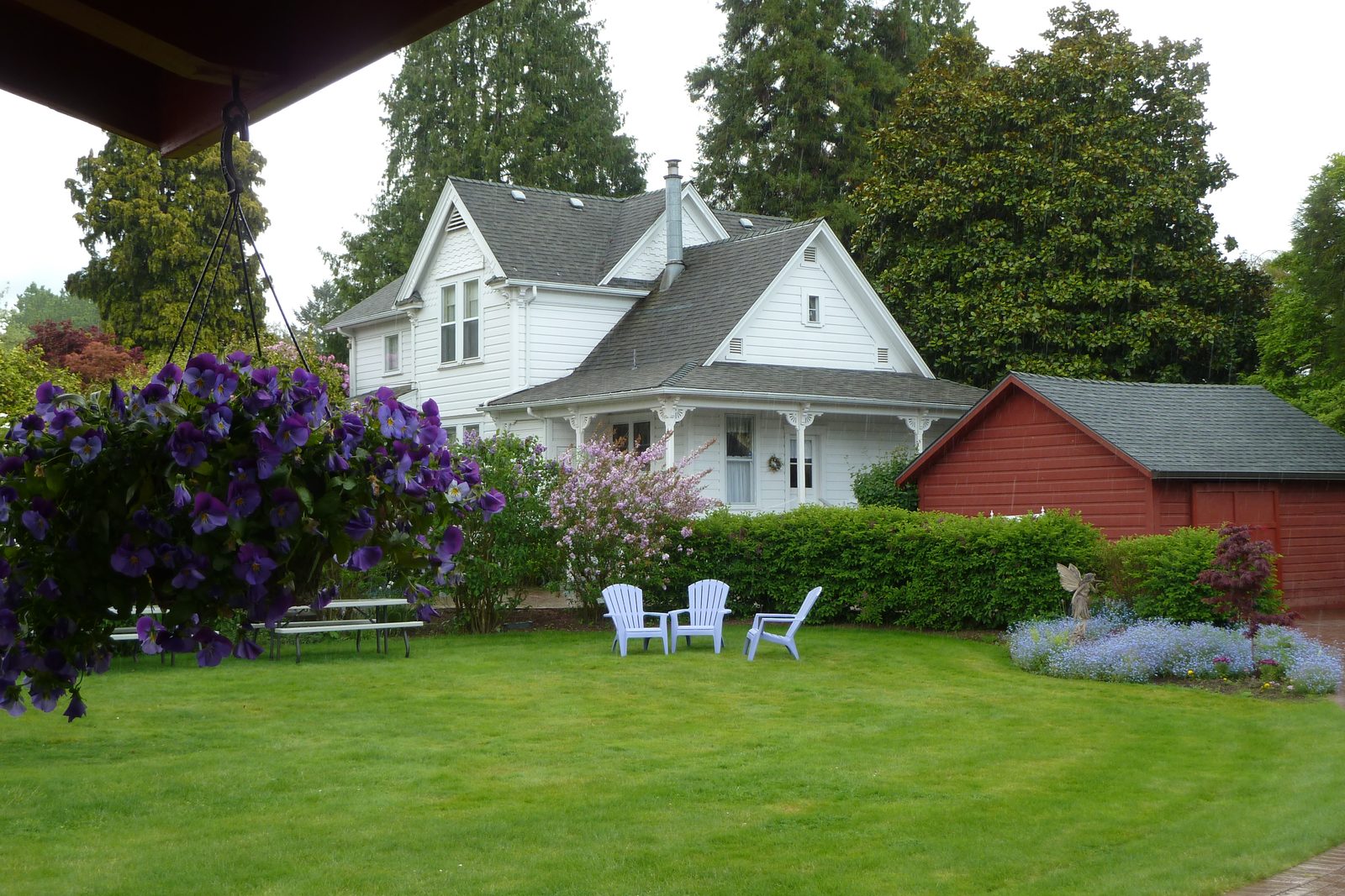 The white Victorian farmhouse, lawn, and red barn at the Hulda Klager Lilac Gardens in Woodland, Washington