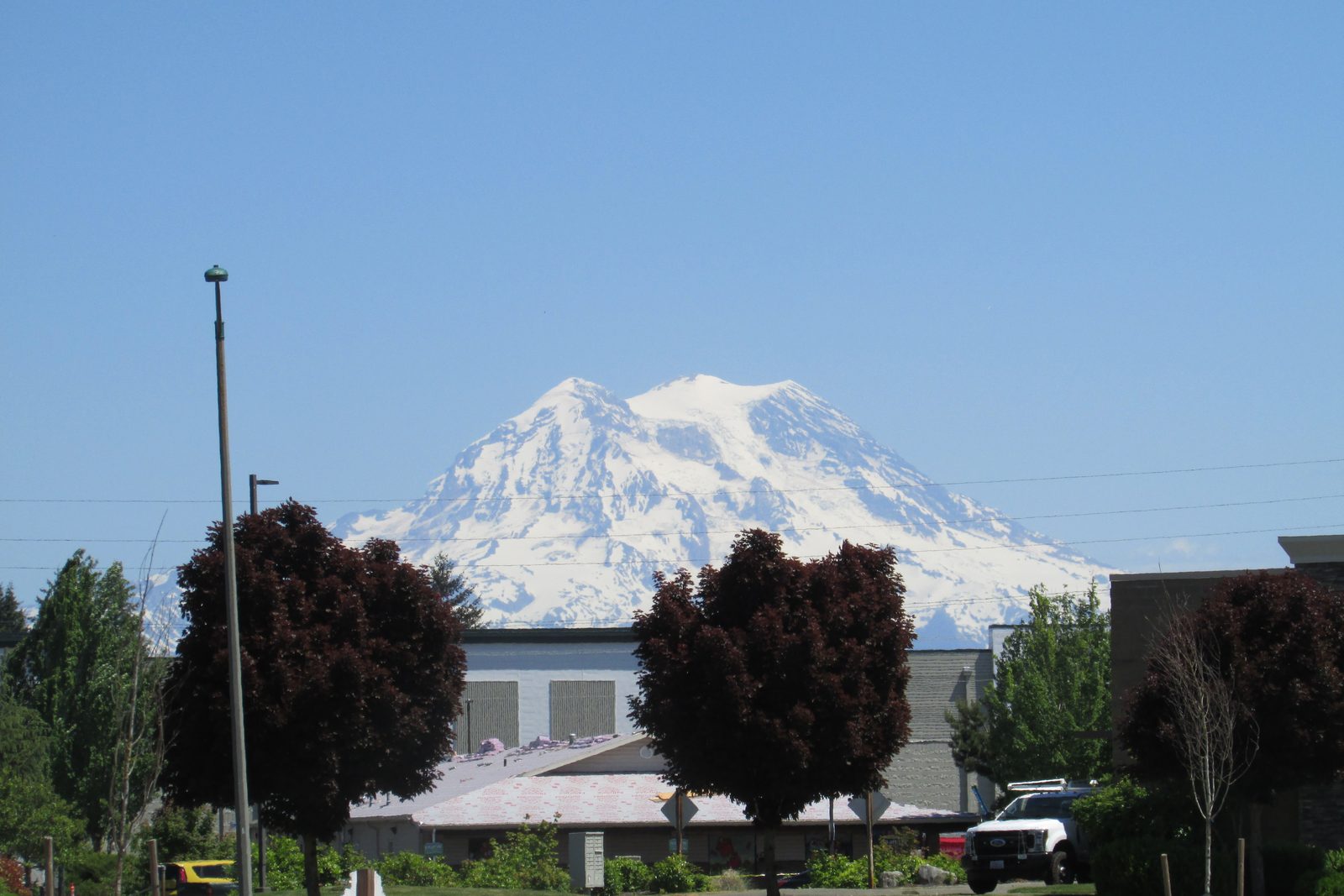Mount Rainier rising over Yelm's rooftops and street trees on a clear day